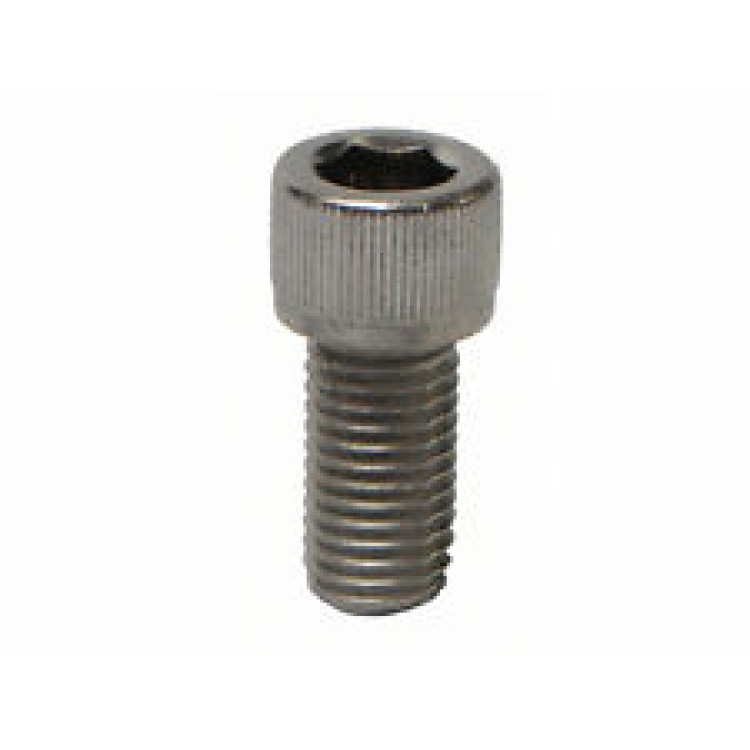 Polaris Sweep Hose Adjuster Screw B20 Polaris Sweep Hose Adjuster Screw B20