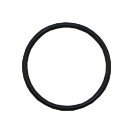 Sta Rite 5P2R Diffuser O-Ring