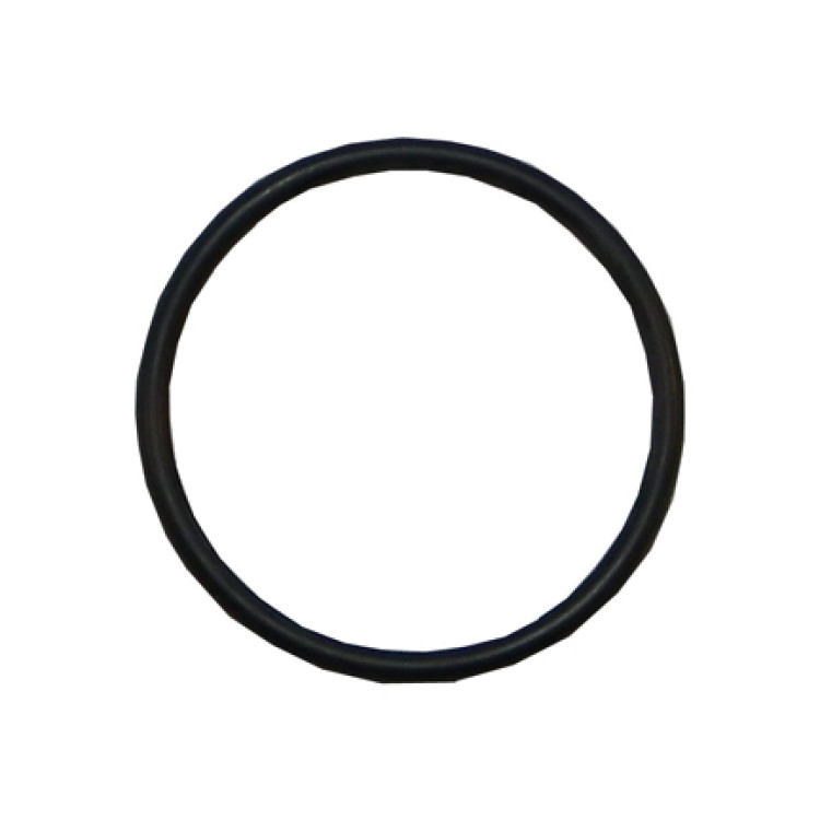 Sta Rite 5P2R Diffuser O-Ring