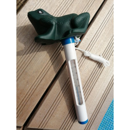 Novelty Frog Thermometer Novelty Frog Thermometer