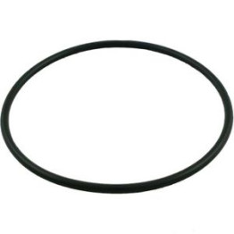 Hayward Feeder Lid 'O' Ring