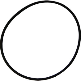 Lacron Filter Lid O-Ring Lacron Filter Lid O-Ring