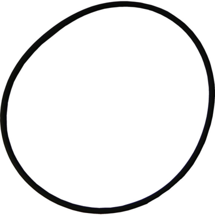 Lacron Filter Lid O-Ring