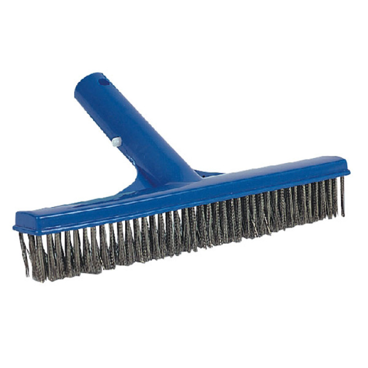 Algae Brush Algae Brush