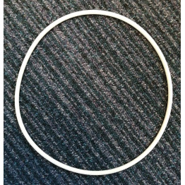 Waterco Filter Lid O ring Waterco Filter Lid O ring