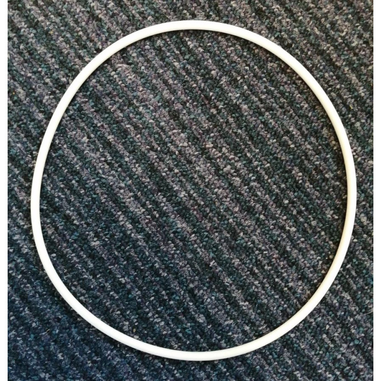 Waterco Filter Lid O ring Waterco Filter Lid O ring