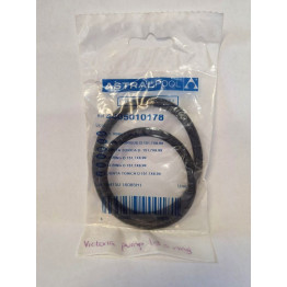 Astral Victoria Sprint Pump Lid O Ring Astral Victoria Sprint Pump Lid O Ring