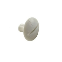 Polaris Plastic Wheel Screw C55 Polaris Plastic Wheel Screw C55